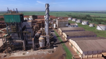 Levedura seca produzida pela Tereos é usada como componente de ração e ganha o mundo