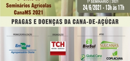  Inovações no manejo de pragas e doenças contribuem com a qualidade da safra