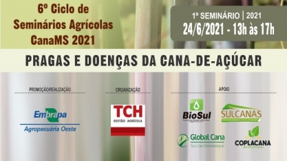  Inovações no manejo de pragas e doenças contribuem com a qualidade da safra