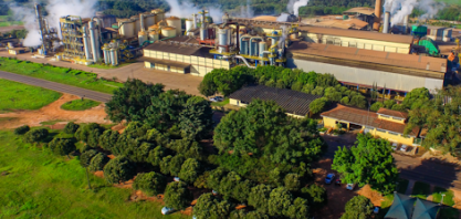 Processo Seletivo - Líder de Defensivos Agrícola