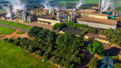 Processo Seletivo - Líder de Defensivos Agrícola 