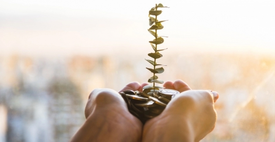 O sequestro do gás carbônico gera créditos monetizáveis por órgãos internacionais, que podem ser comercializados entre empresas FREEPIK.COM/DIVULGAÇÃO/JC