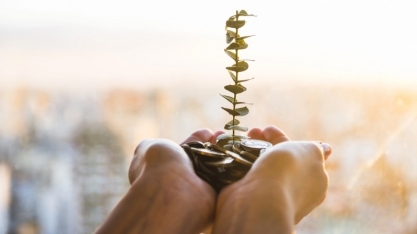 Crédito de carbono pode ser a nova moeda global