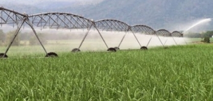 Agricultura irrigada no Brasil é o tema de dois livros lançados pela Cátedra Luiz de Queiroz 