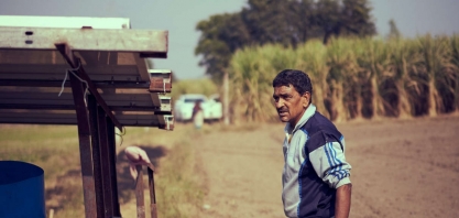Açúcar: excedente exportador e estoques da Índia deverão chegar aos preços, se já não estão