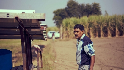 Açúcar: excedente exportador e estoques da Índia deverão chegar aos preços, se já não estão