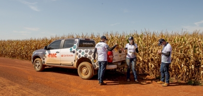 Perdas causadas pelo clima seco reduzem estimativa de milho segunda safra a 65,3 milhões de toneladas