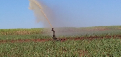 Prosa Rural - Compostagem de resíduos agroindustriais da cana-de-açúcar com uso da vinhaça