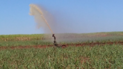 Prosa Rural - Compostagem de resíduos agroindustriais da cana-de-açúcar com uso da vinhaça