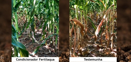 Construção de ambientes de produção para amenizar condições de estresse hídrico