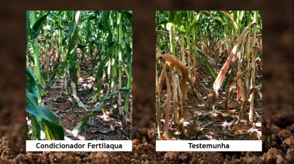 Construção de ambientes de produção para amenizar condições de estresse hídrico