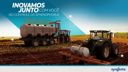 Live: Inovamos junto com você no controle de Sphenophorus