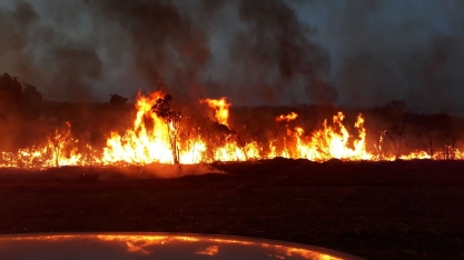 Canacampo promove campanha contra queimadas