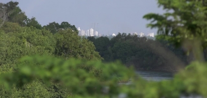 Chuva no início do ano não foi a esperada para a produção da cana, no norte do estado