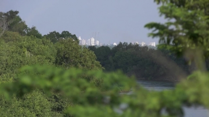 Chuva no início do ano não foi a esperada para a produção da cana, no norte do estado