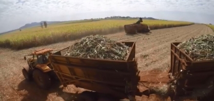 Paraná estima prejuízos na produção de açúcar e etanol por causa da estiagem, diz Alcopar