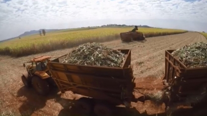 Paraná estima prejuízos na produção de açúcar e etanol por causa da estiagem, diz Alcopar