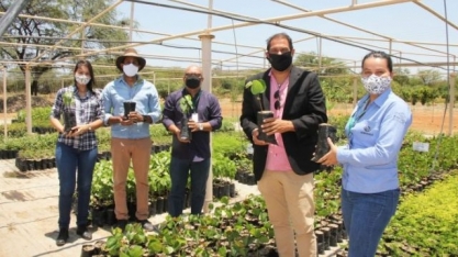 Agrovale doa mudas para plantio de árvores nativas da Caatinga