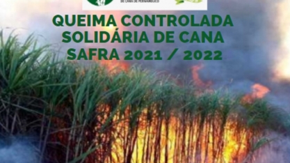 AFCP realiza cadastramento para licença da queima controlada solidária de cana