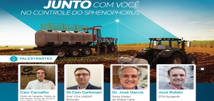 Mesa redonda on-line debaterá o controle eficaz do Sphenophorus levis