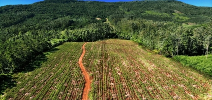 Destilaria gaúcha aposta em métodos 100% sustentáveis na produção
