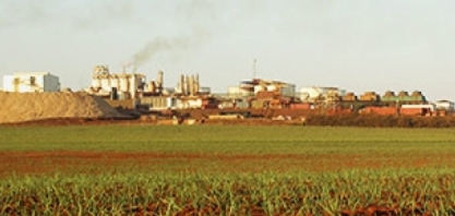 Batatais avalia compra de usina de cana da Cargill