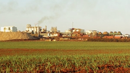 Batatais avalia compra de usina de cana da Cargill