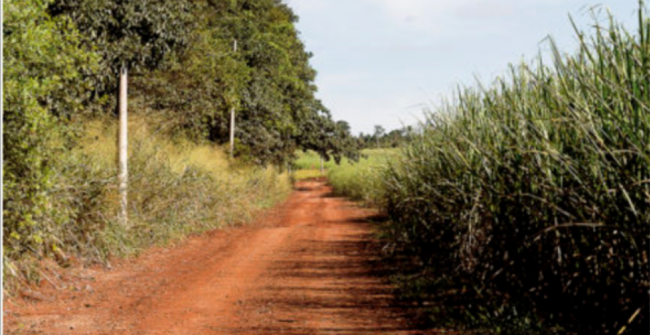 Os aceiros só são eficientes quando existe uma manutenção, que cabe ao produtor rural ou unidade sucroenergética