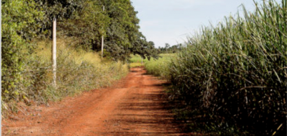 Falta de comprovação de aceiros pode dificultar defesa em caso de multa ambiental pela ocorrência de incêndios em canaviais