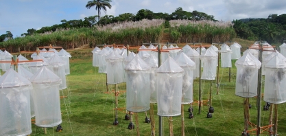 Sergio Tutui é o novo coordenador da APTA