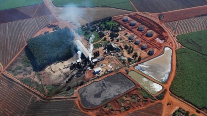 Usina Denusa aposta na “matriz do terceiro eixo” para ganhos de produtividade e longevidade dos canaviais