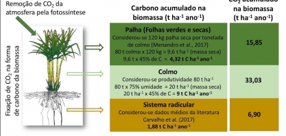 ORPLANA: descarbonização acontece no campo