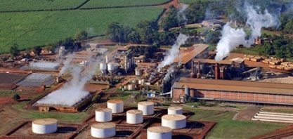 Lucro da Jalles Machado cresce 122,7% na safra 2020/21, para R$ 170,4 mi