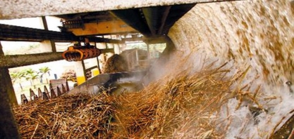 Possível redução na safra da cana-de-açúcar no Centro/Sul pode ajudar o Nordeste