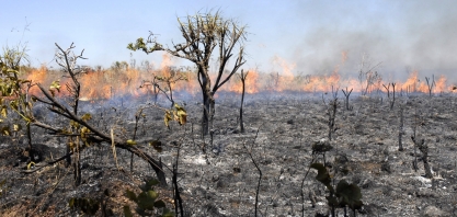 Polícia Ambiental paulista propõe alterar a tabela e a pontuação dos critérios em casos de incêndios criminosos em canaviais;