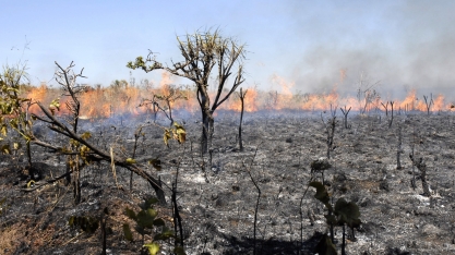 Polícia Ambiental paulista propõe alterar a tabela e a pontuação dos critérios em casos de incêndios criminosos em canaviais;