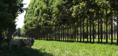 Os grandes temas da moderna agricultura