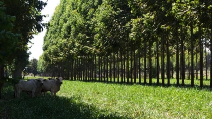 Os grandes temas da moderna agricultura