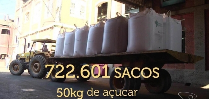 Produtores de cana-de-açúcar têm expectativa de boa safra, no ES