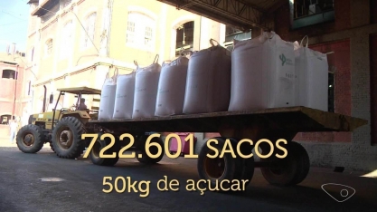 Produtores de cana-de-açúcar têm expectativa de boa safra, no ES