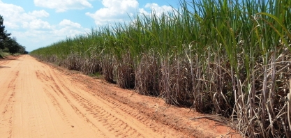 Frágil no curto, robusto no longo