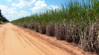 Frágil no curto, robusto no longo