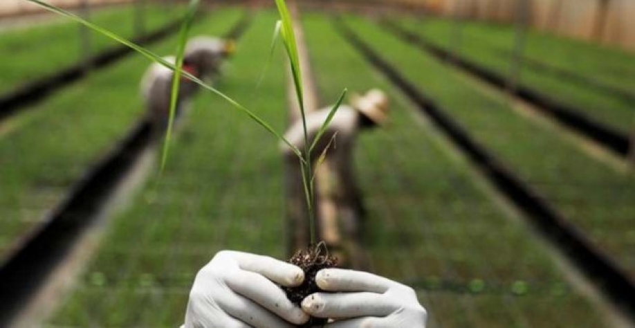 Segundo o documento, o valor por ação será de R$ 0,08026372744, a ser pago no dia 30 de agosto de 2021 (Imagem: Divulgação/CTC)