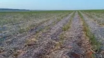 De ponta a ponta de Mato Grosso do Sul, veja os registros do pior frio em 8 anos