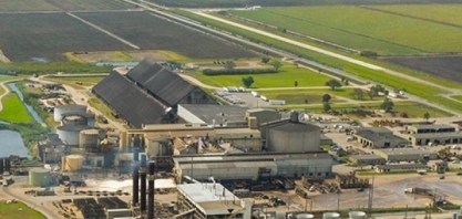 Empresa brasileira melhora a gestão de um dos maiores produtores de cana-de-açúcar dos EUA