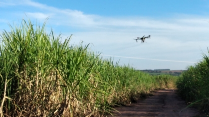 Coplacana realiza ‘Balcão de Agronegócios’ com linha de última geração da ítalo-japonesa Sipcam Nichino