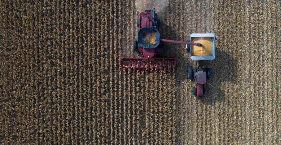 Nesta quinta-feira, o indicador de milho Esalq/B3 fechou em 98 reais por saca, alta de 9,42% na variação mensal e quase o dobro ante os 49 reais registrados um ano antes (Imagem: REUTERS/Adrees Latif)