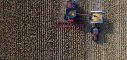 Brasil vê onda de ‘washouts’ em contratos de milho e exportações ficam ameaçadas