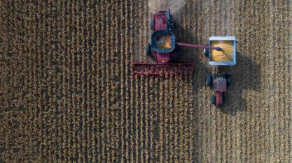 Brasil vê onda de ‘washouts’ em contratos de milho e exportações ficam ameaçadas