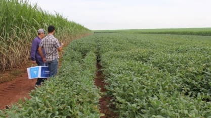 Artigo - 28 de julho, Dia do Agricultor